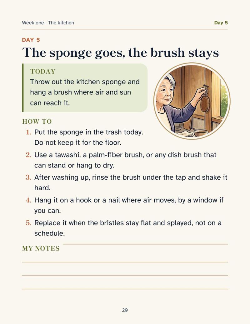 Day 5, the sponge goes, the brush stays, left page